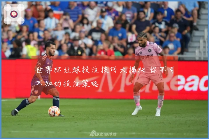 世界杯让球投注技巧大揭秘 你不可不知的投注策略
