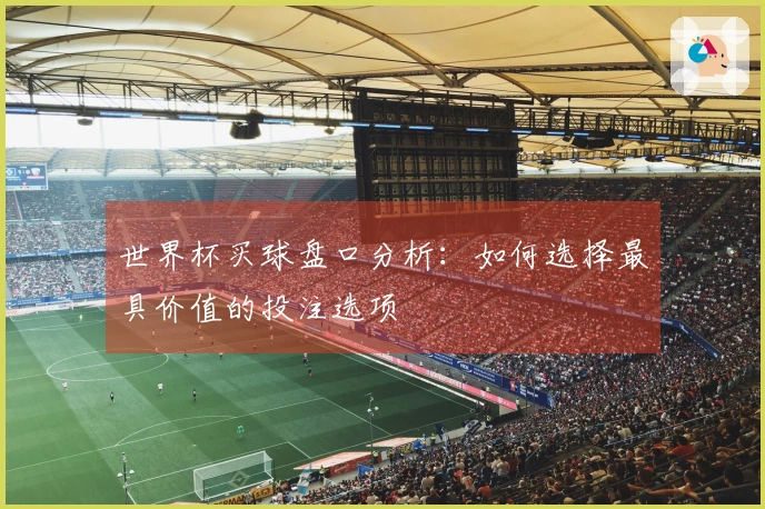 世界杯买球盘口分析：如何选择最具价值的投注选项