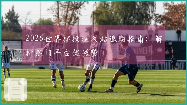 2026世界杯投注网站选购指南：解析热门平台优劣势