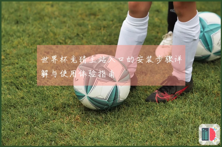 世界杯竞猜主站入口的安装步骤详解与使用体验指南