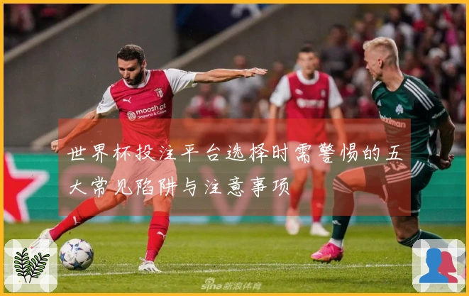 世界杯投注平台选择时需警惕的五大常见陷阱与注意事项