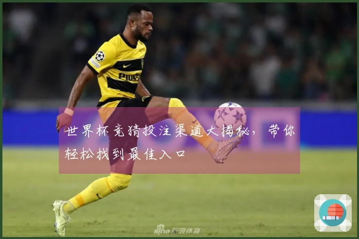 世界杯竞猜投注渠道大揭秘，带你轻松找到最佳入口
