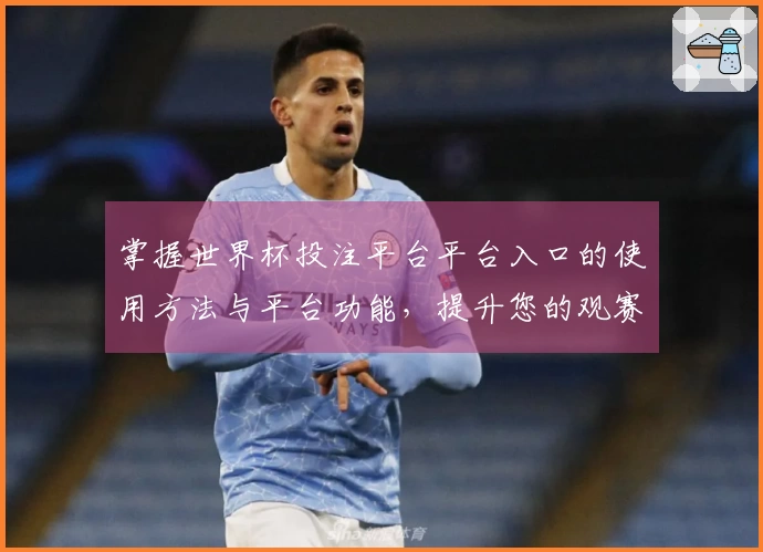 掌握世界杯投注平台平台入口的使用方法与平台功能，提升您的观赛体验
