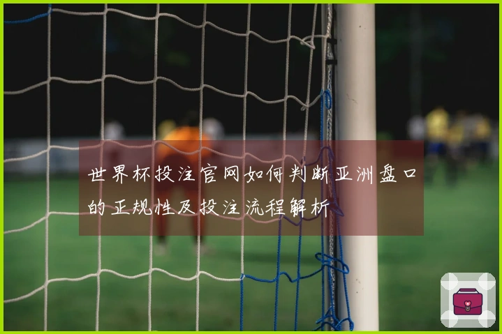 世界杯投注官网如何判断亚洲盘口的正规性及投注流程解析