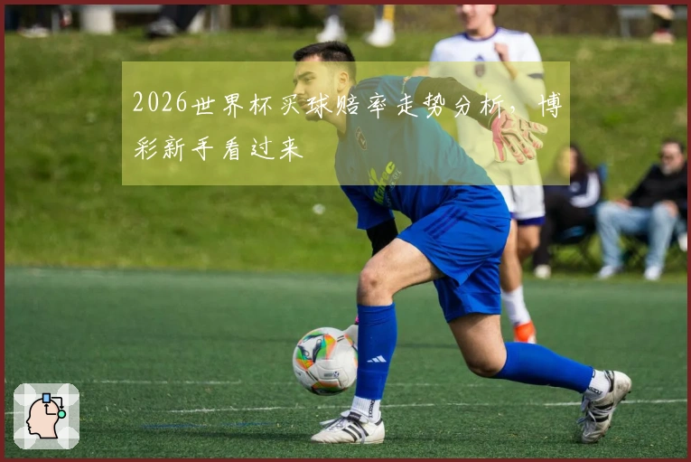 2026世界杯买球赔率走势分析，博彩新手看过来
