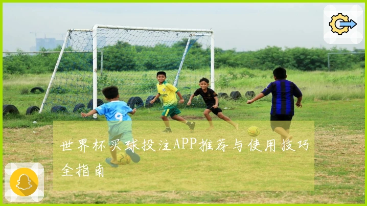 世界杯买球投注APP推荐与使用技巧全指南