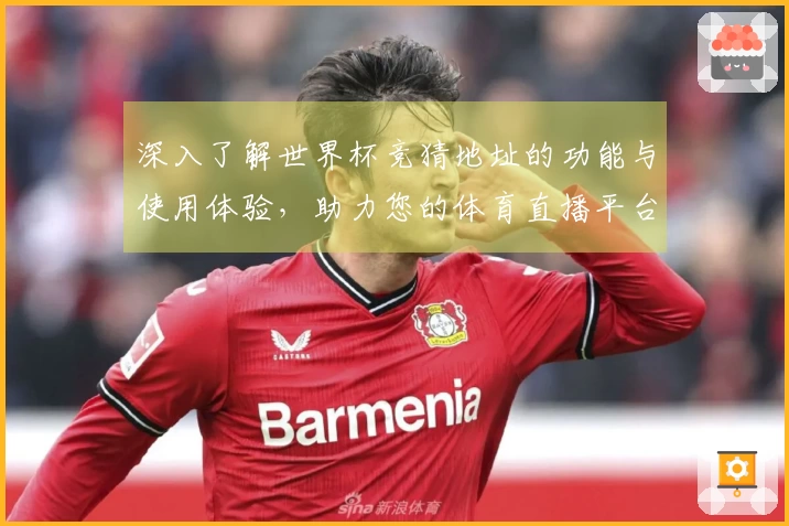 深入了解世界杯竞猜地址的功能与使用体验，助力您的体育直播平台之旅