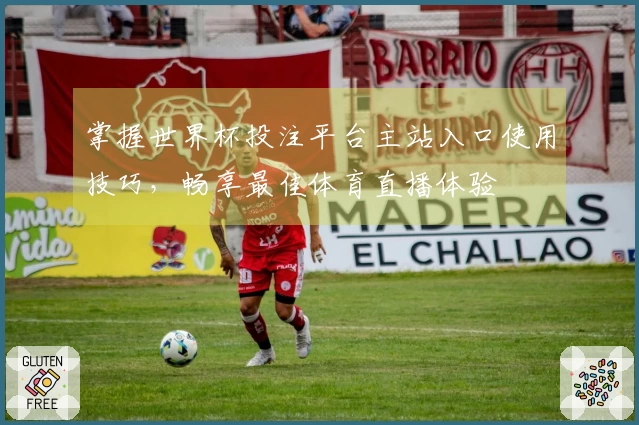 掌握世界杯投注平台主站入口使用技巧，畅享最佳体育直播体验