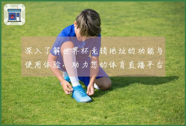 深入了解世界杯竞猜地址的功能与使用体验，助力您的体育直播平台之旅