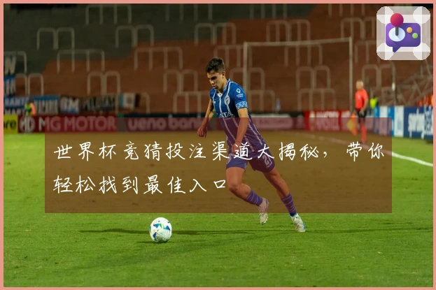 世界杯竞猜投注渠道大揭秘，带你轻松找到最佳入口