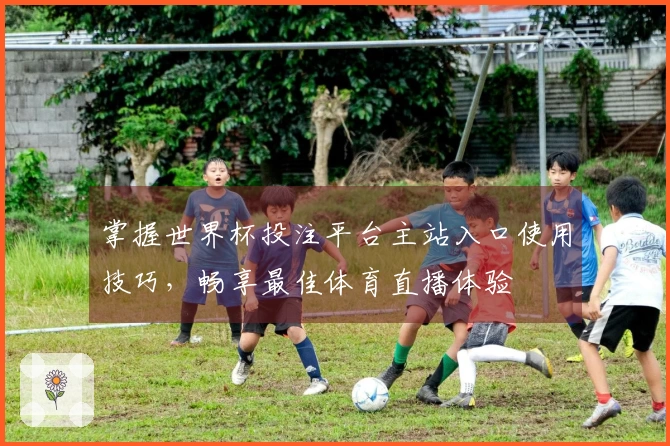 掌握世界杯投注平台主站入口使用技巧，畅享最佳体育直播体验