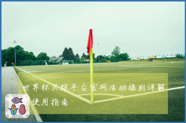 世界杯买球平台官网活动福利详解与使用指南