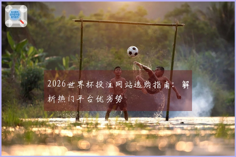 2026世界杯投注网站选购指南：解析热门平台优劣势