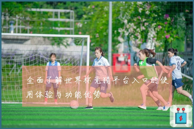 全面了解世界杯竞猜平台入口的使用体验与功能优势