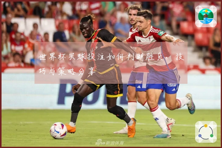 世界杯买球投注如何判断胜负，技巧与策略分享