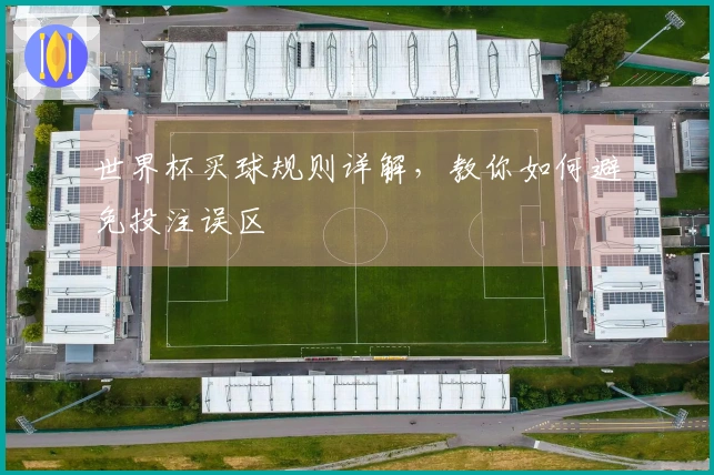 世界杯买球规则详解，教你如何避免投注误区