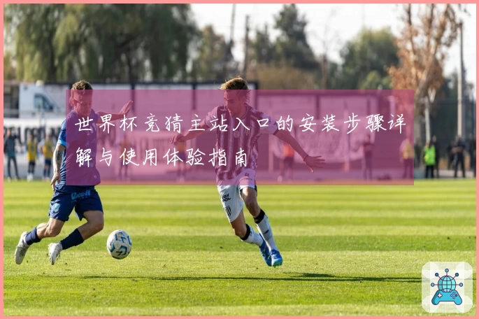 世界杯竞猜主站入口的安装步骤详解与使用体验指南