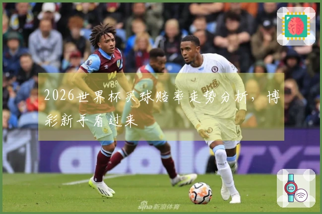 2026世界杯买球赔率走势分析，博彩新手看过来