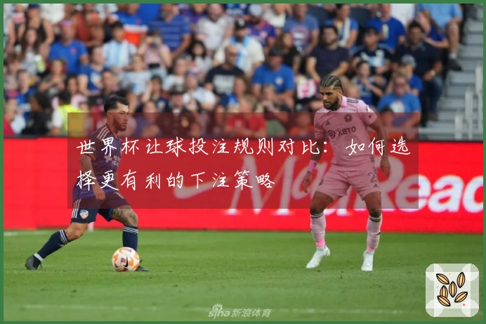 世界杯让球投注规则对比：如何选择更有利的下注策略