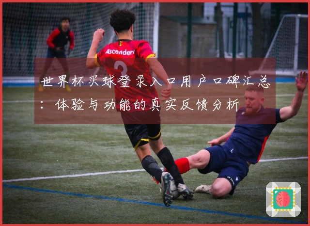 世界杯买球登录入口用户口碑汇总:体验与功能的真实反馈分析